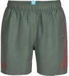 Arena Fundamentals Logo R Herren Badehose, gr&uuml;n 3468337734208