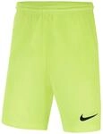 Nike Dri-Fit Park 3 Kinder Teamhose, gr&uuml;n 193654347987