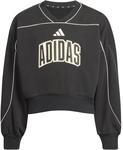 Adidas Stadium Sweatshirt M&auml;dchen Sweatshirt, schwarz 4068821506435