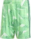 Adidas Tiro26 Competition Goalkeeper Shorts Herren Torwarthose, gr&uuml;n 4068815963862