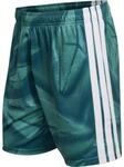Adidas Deutschland 2026 Home Torwart Herren Fu&szlig;ballhose, gr&uuml;n 4068815686976