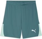 Puma Teamliga26 Herren Shorts, gr&uuml;n 4069162346773