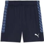 Puma Teamliga26 Training Herren Shorts, blau 4069162318336