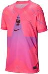 Nike Frankreich 2026 Stadium Goalkeeper Dri-Fit Replica Kinder Trikot, pink