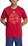 Adidas FC Bayern M&uuml;nchen DNA Graphic Herren T-Shirt, rot 4067896725956