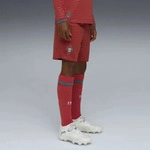 Puma 783300_01, Puma Portugal Replica Kinder Shorts, rot