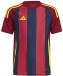 Adidas Striped 24 Kinder Trikot, blau 4067889027043