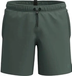 Arena 010867_600, Arena Evo Beach Solid Herren Badehose, gr&uuml;n male