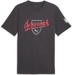 Puma &Ouml;sterreich Ftblculture Herren T-Shirt, grau 4069162480163