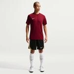 Nike Dri-Fit Park VIII Herren Trikot, rot 198488372280