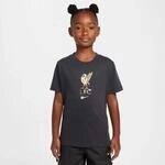 Nike Liverpool FC Crest Kinder T-Shirt, grau 197600046306