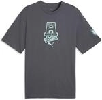 Puma &Ouml;sterreich Ftblculture Relaxed Herren T-Shirt, grau 4069162476463