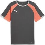 Puma IndividualLIGA Herren T-Shirt, grau 4069157258906