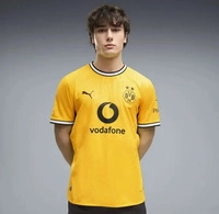 Puma 784087_01, Puma Borussia Dortmund Home Authentic Herren T-Shirt, gelb male