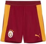 Puma Galatasaray SK Training W Pockets Herren Shorts, rot 4070034274247