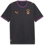 Puma Galatasaray SK Away Replica Herren T-Shirt, grau, Gr. S 4070034273585