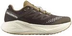 Salomon Aero Glide 3 Grvl Herren Laufschuhe, braun, Gr. 42 ⅔ 0198720077577