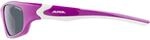 Alpina Flexxy M&auml;dchen Sonnenbrille, pink 4003692237644