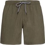 Protest Davey Herren Badehose, gr&uuml;n 8719947199556