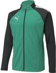 Puma TeamLIGA Training Herren Blouson, gr&uuml;n 4063699455151