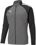 Puma TeamLIGA Training Herren Blouson, grau 4063699455540