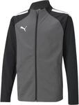 Puma TeamLIGA Training Kinder Blouson, grau 4063699455236