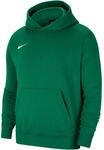 Nike Park Kinder Kapuzensweater, gr&uuml;n 194502373646