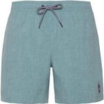 Protest Davey Herren Badehose, gr&uuml;n 8719947314058