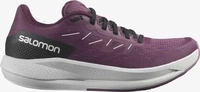 Salomon LG8008_9737, Salomon Spectur Damen Laufschuhe, braun, Gr&ouml;&szlig;e 40 female