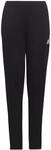 Adidas Entrada 22 Trainingshose Kinder Trainingshose, schwarz 4065418861038