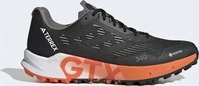 adidas LSF77_HR1110, Adidas Terrex Agravic Flow Gore-Tex Trailrunning-Schuh 2.0