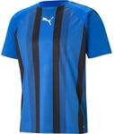 Puma TeamLIGA Striped Herren T-Shirt, blau 4063699289350