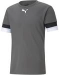 Puma TeamRISE Herren Trikot, grau 4063699213287