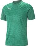 Puma teamCUP Training Herren T-Shirt, gr&uuml;n 4065453658938