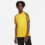 Nike Dri-Fit Academy Kinder Trikot, gelb 195244569236