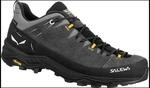Salewa Alp Trainer 2 GTX Herren Trekkingschuhe, grau, Gr. 40 &frac12; 4053866544634