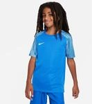 Nike Dri-Fit Academy Kinder Trikot, blau 195244569090