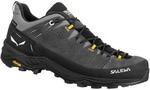 Salewa Alp Trainer 2 GTX Herren Trekking-Halbschuhe, grau, Gr&ouml;&szlig;e 42 &frac12;