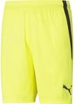 Puma TeamLIGA Herren Shorts, gelb 4063699152821