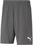 Puma TeamRISE Short Herren Shorts, grau 4063699212013