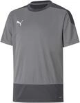 Puma TeamGOAL 23 Training Kinder Trikot, grau 4062451090159