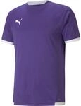 Puma TeamLIGA Herren Trikot, lila 4063699158182