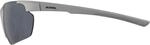 Alpina Defey HR Sonnenbrille, grau 4003692309488