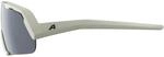 Alpina A8715_21, Alpina Rocket Kinder Sonnenbrille, grau