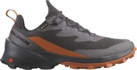 Salomon LI5139_L47265000, Salomon Cross Over 2 GTX Herren Multifunktionsschuhe, grau,