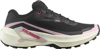 Damen Laufschuhe Salomon Genesis 2 Gtx W Schuhgr&ouml;&szlig;e (EU): 40 2/3 / Farbe: schwarz