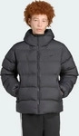 adidas Daunenjacke Tonal JX4123 Schwarz Regular Fit Herren