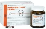 Laves Pankreatin 10.000 Ph.Eur-Einheiten Hartkapseln bei exokriner