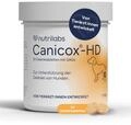 NutriLabs Canicox-HD Gelenktabletten f&uuml;r Hunde 50 Stk. - mit MSM, Chondroitin,