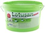 S&uuml;dwest Lotusan Silikonharz-Fassadenfarbe 12,5 Liter